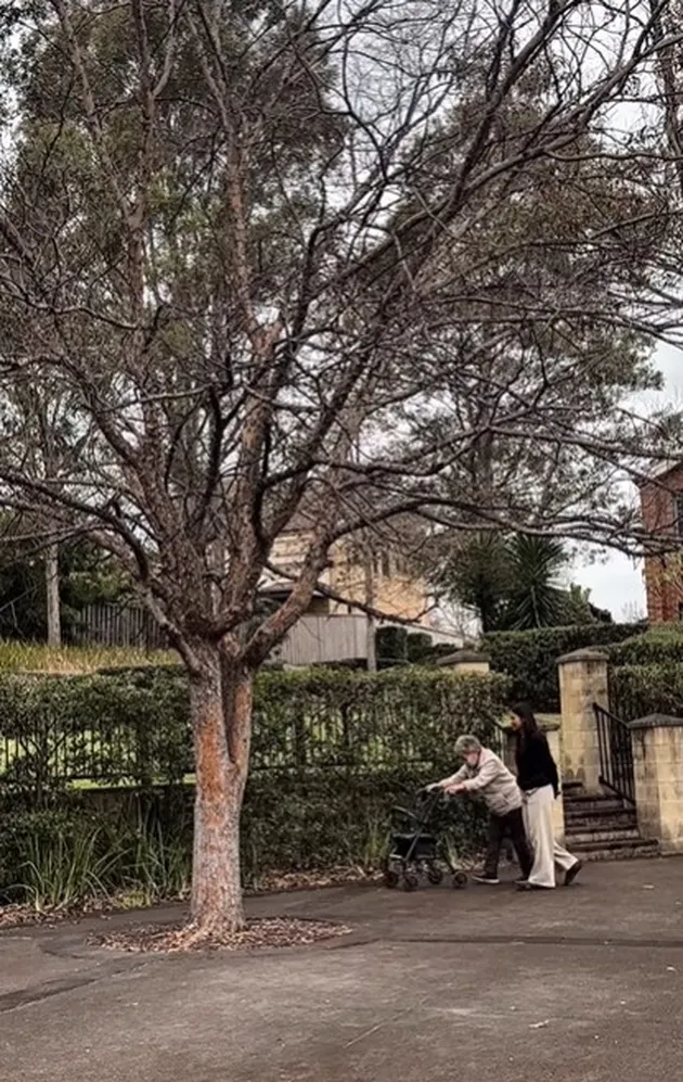<nil>