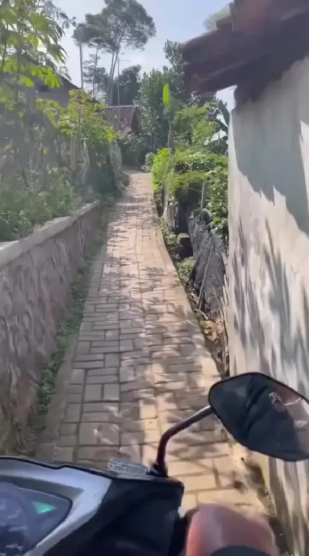 <nil>