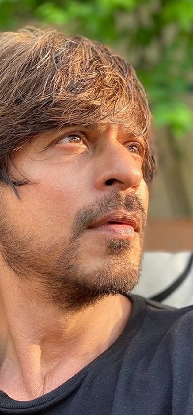 Shahrukh Khan's Unique Selfie Portraits on Instagram, Receives Rp 2 Billion Endorsement Per Post