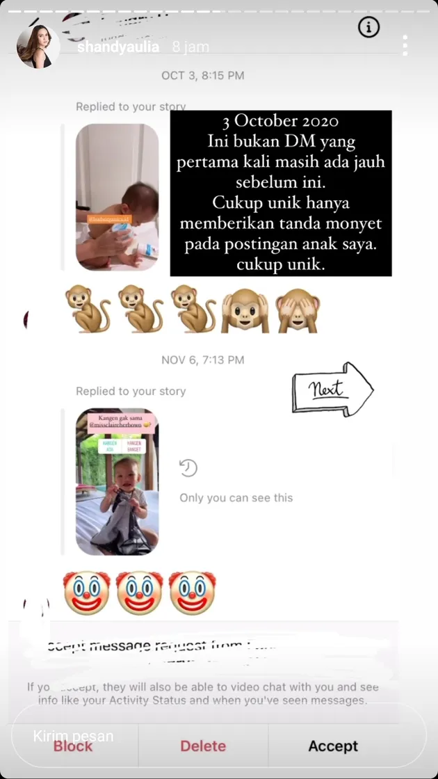 Shandy Aulia Bongkar isi DM