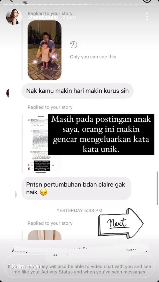 Shandy Aulia Bongkar isi DM