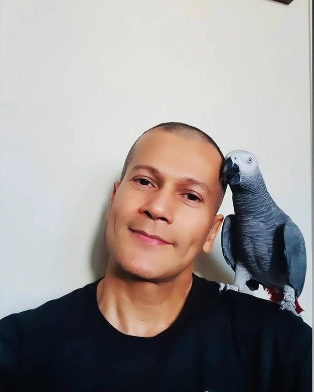 Latest Portrait of Adam Jordan, Now Sporting a Bald Haircut, Relaxing at Home with Pet Bird 'Kiko'!