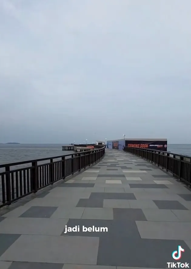 <nil>
