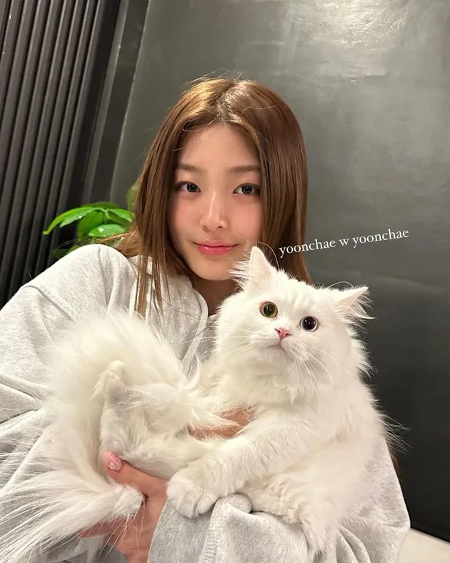 Profil Jeong Yoonchae KATSEYE