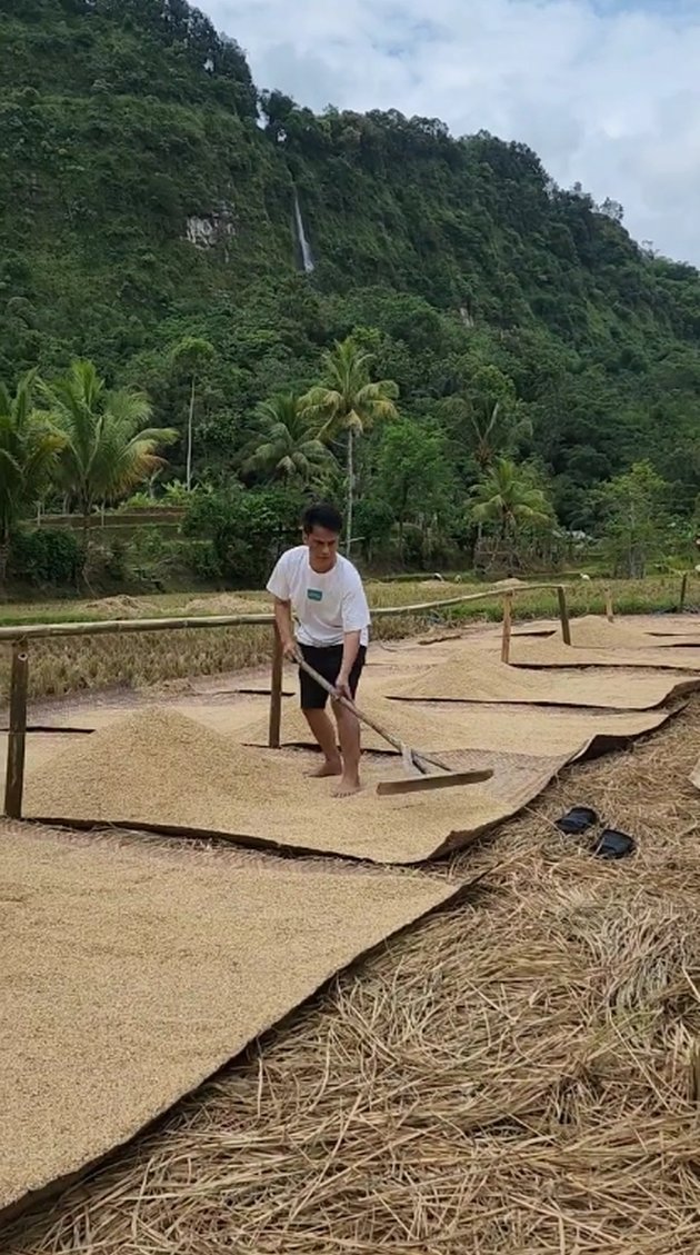 Her Daughter Becomes a Successful Dangdut Singer, Portrait of Endang Mulyana, Lesti Kejora's Father Who is Drying Rice - Still Living a Simple Life