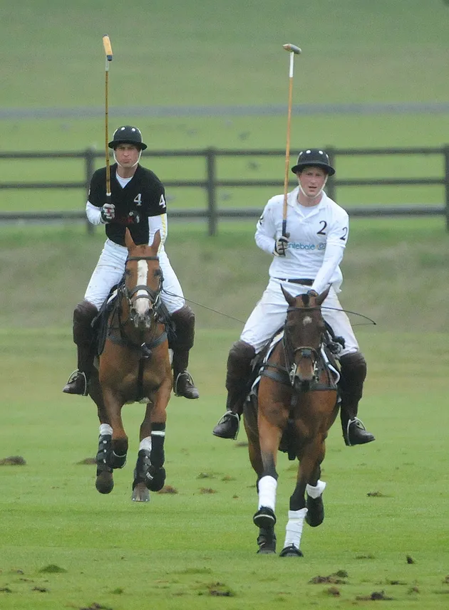 Pangeran Harry - William