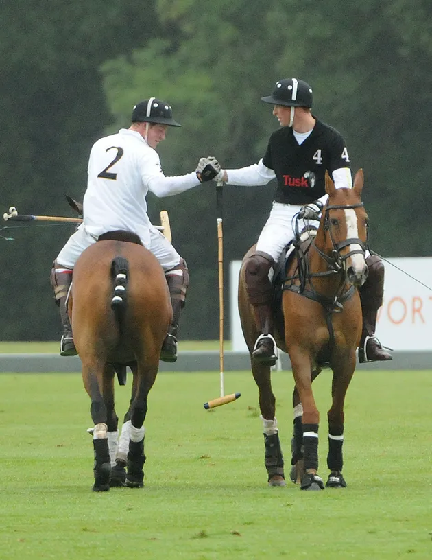 Pangeran Harry - William