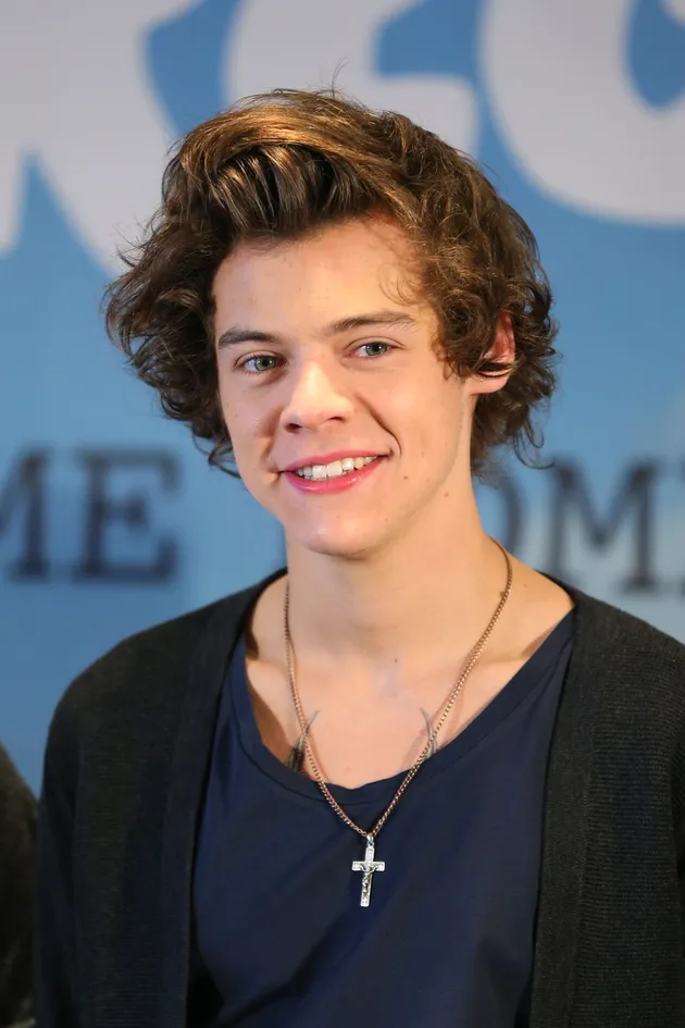 Tak dipungkiri, rambut Harry Styles memang keren. Kalau dipakai artis lain bagaimana ya?