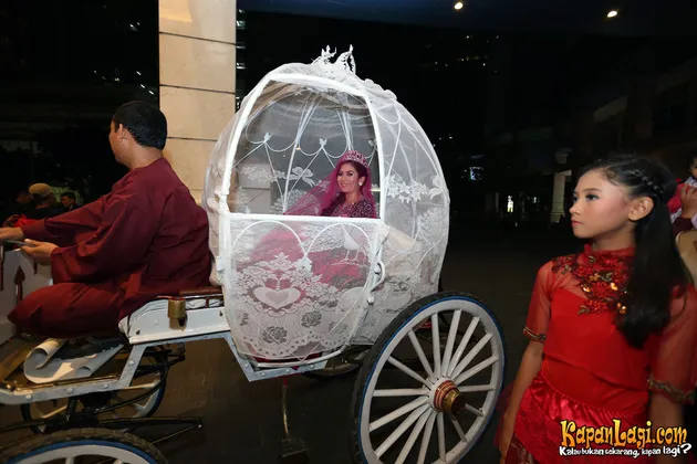 Cinta Penelope
