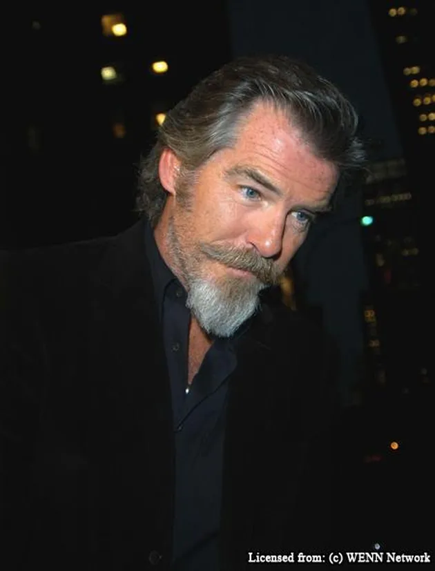 pierce brosnan