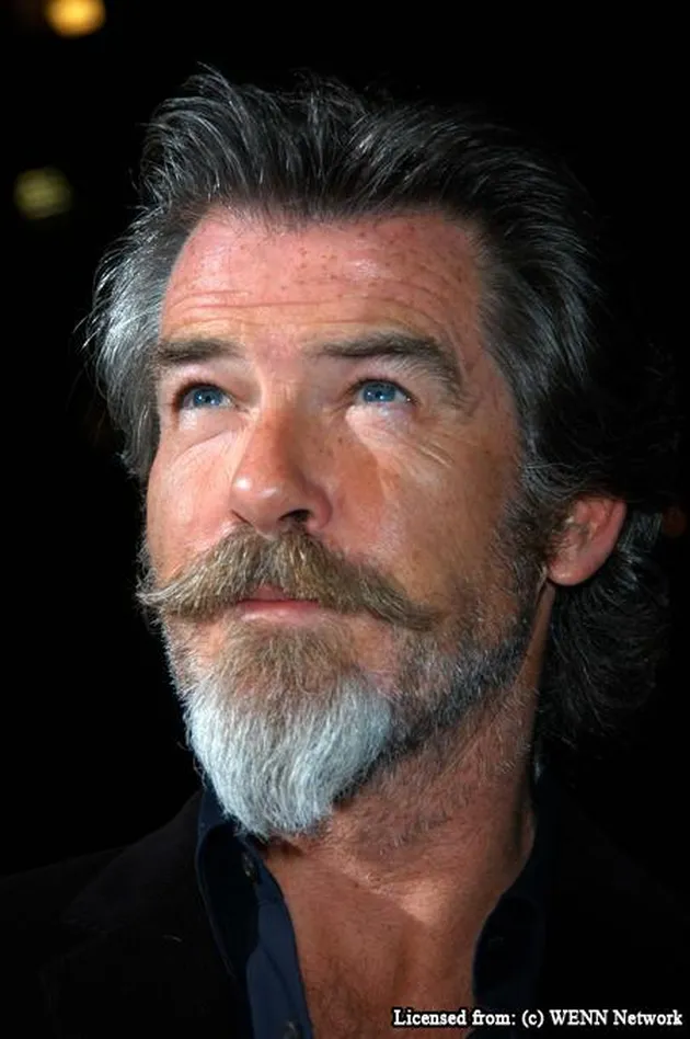 pierce brosnan