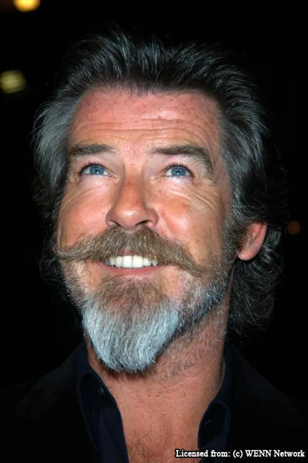 pierce brosnan