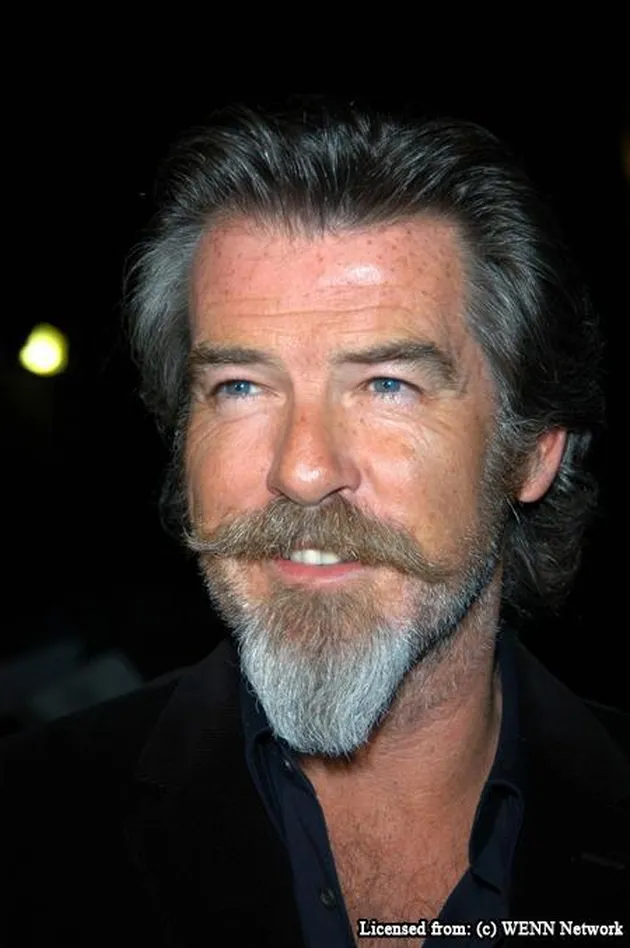 pierce brosnan