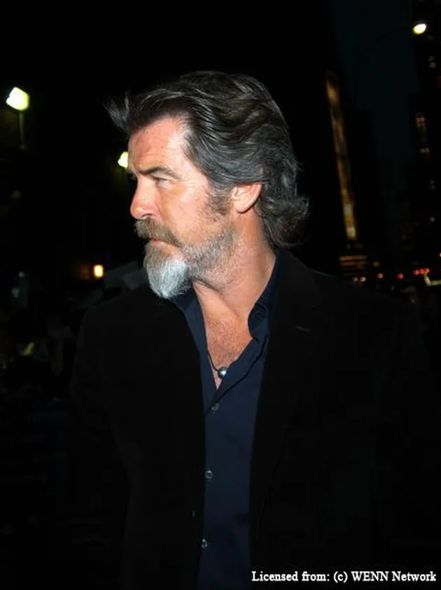 pierce brosnan