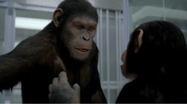 Rise Of The Planet Of The Apes