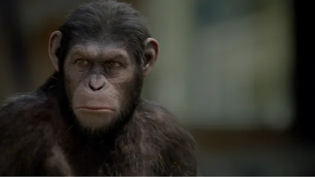 Rise Of The Planet Of The Apes