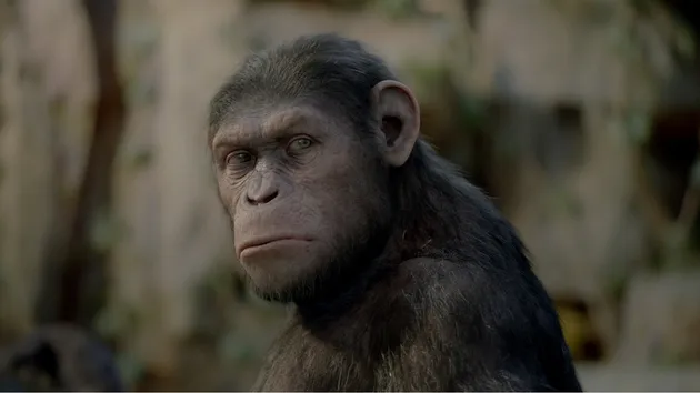 Rise Of The Planet Of The Apes