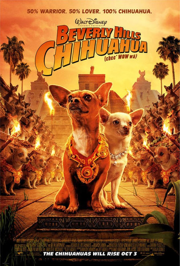 poster film 2008