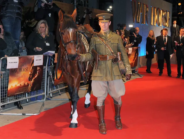War Horse