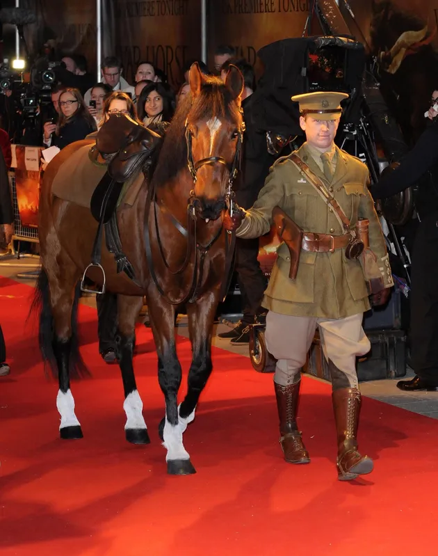 War Horse