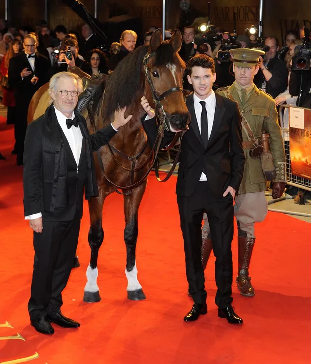 War Horse