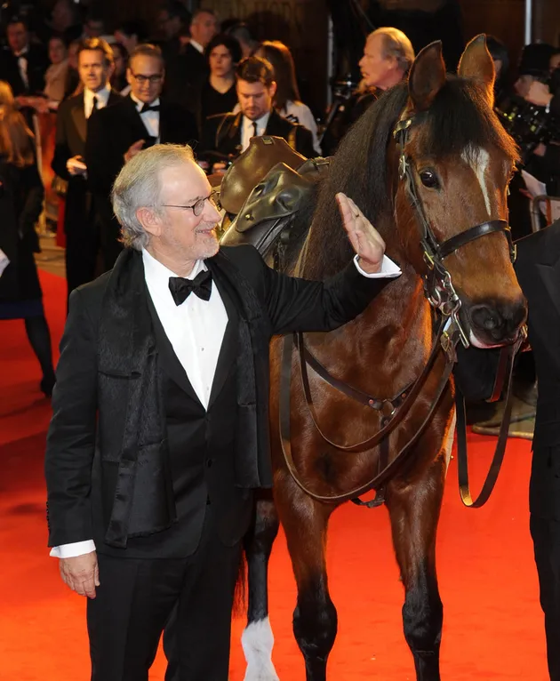 War Horse
