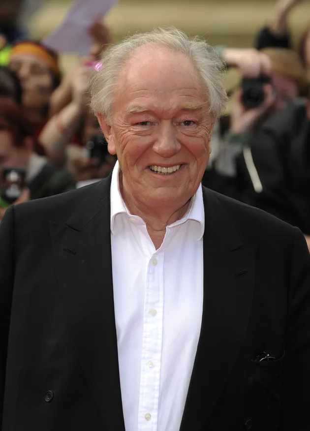 Harry Potter and The Deathly Hallows Part 2