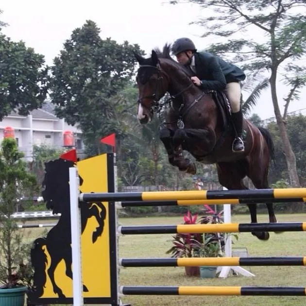 Pacar Nabila Syakieb