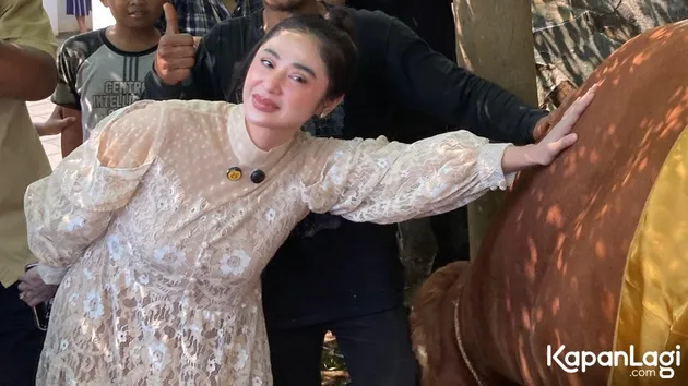 Dewi Perssik Kurban 17 Sapi