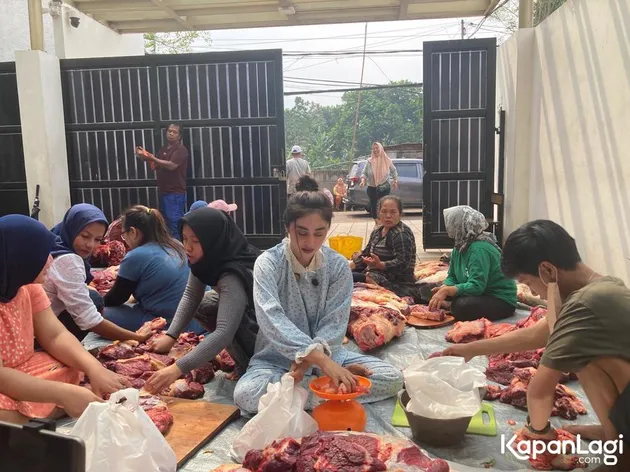 Dewi Perssik Kurban 17 Sapi