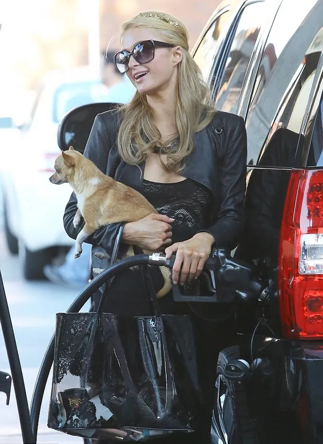 Paris Hilton