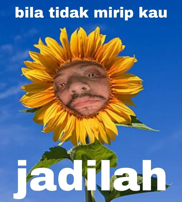 <nil>