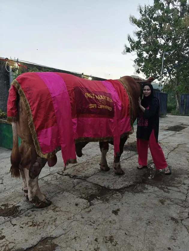 Inul Daratista Siapkan Lima Ekor Sapi Kurban
