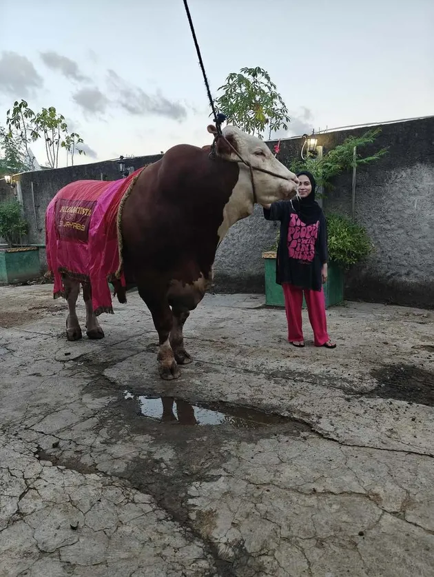 Inul Daratista Siapkan Lima Ekor Sapi Kurban