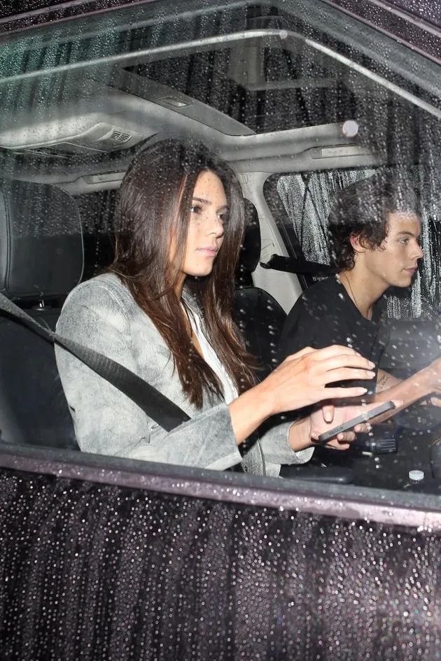 Mantan-Mantan Harry Styles