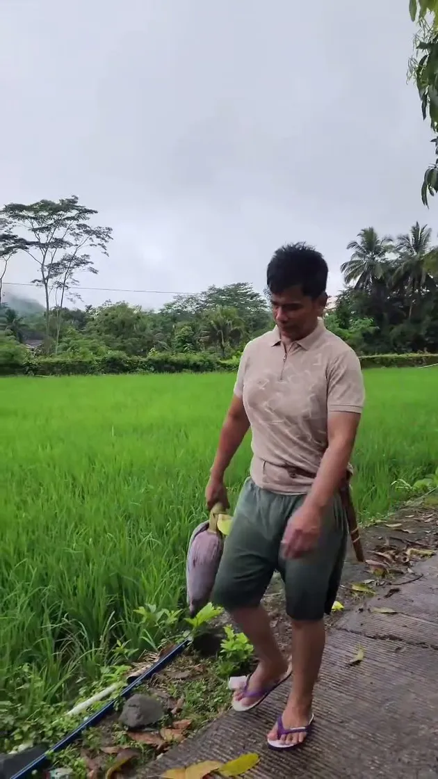 Potret Endang Mulyana Ayah Lesti panen hasil kebun
