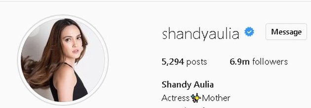 Dari sinilah semuanya bermula. Tampak di profil Instagram Shandy Aulia sudah terhapus kata 'wife'. Kini ia cuma menuliskan actress dan mother saja.
