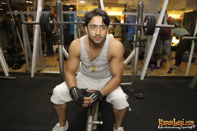 Shaheer Sheikh