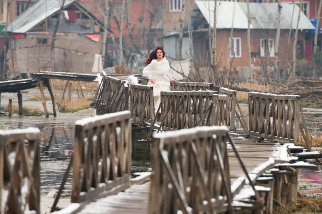 FITOOR