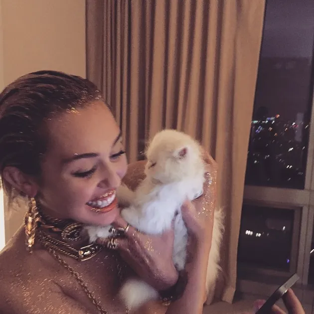 Stella Maxwell, Pacar Lesbian Miley Cyrus