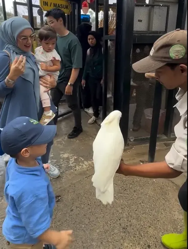 <nil>
