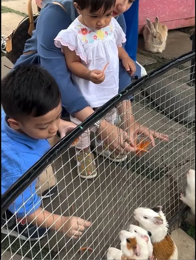 <nil>