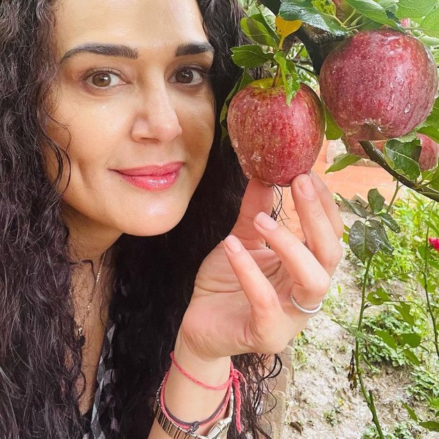 Preity Zinta yang masih cantik banget di usia 46 tahun tampak berpose dengan buah apel yang belum dipetik. Itu adalah apel himachal yang kata Preity adalah apel terbaik sedunia.