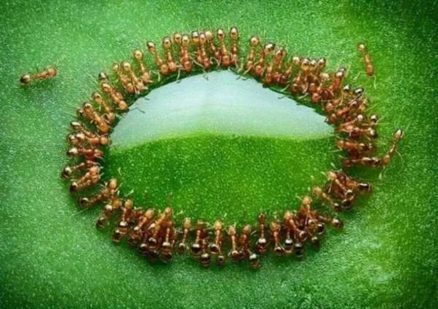 photoshop, foto keren, foto keren tanpa photoshop