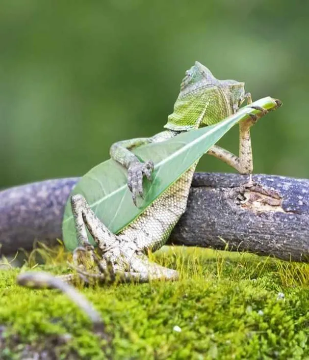 photoshop, foto keren, foto keren tanpa photoshop