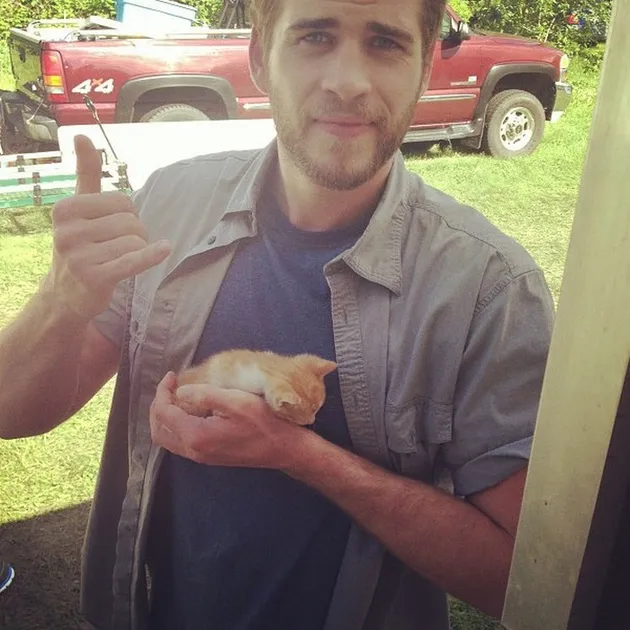 Selebritis Pecinta Kucing