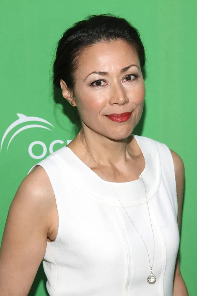 Ann Curry