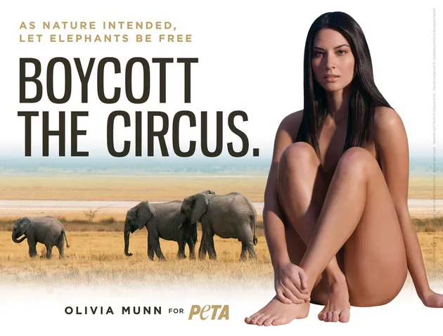 PETA