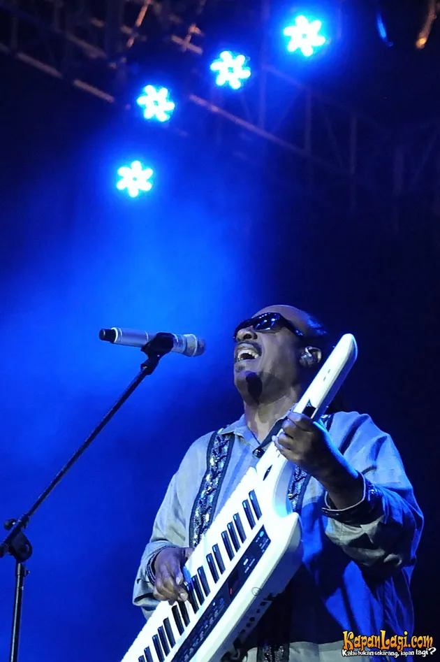 Stevie Wonder