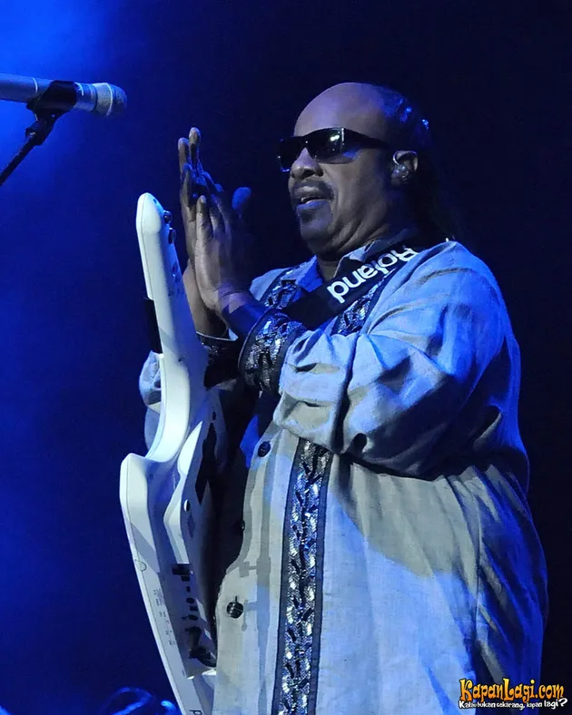 Stevie Wonder